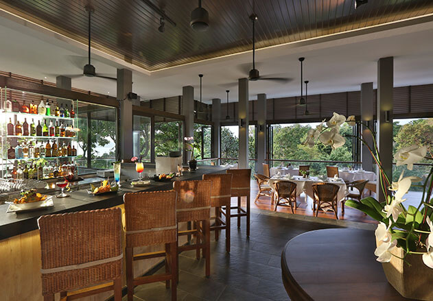 rimba-bar