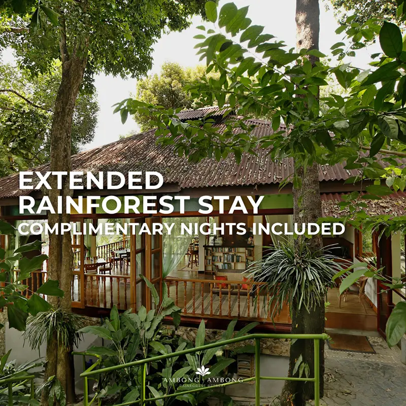 Extended Rainforest Stay