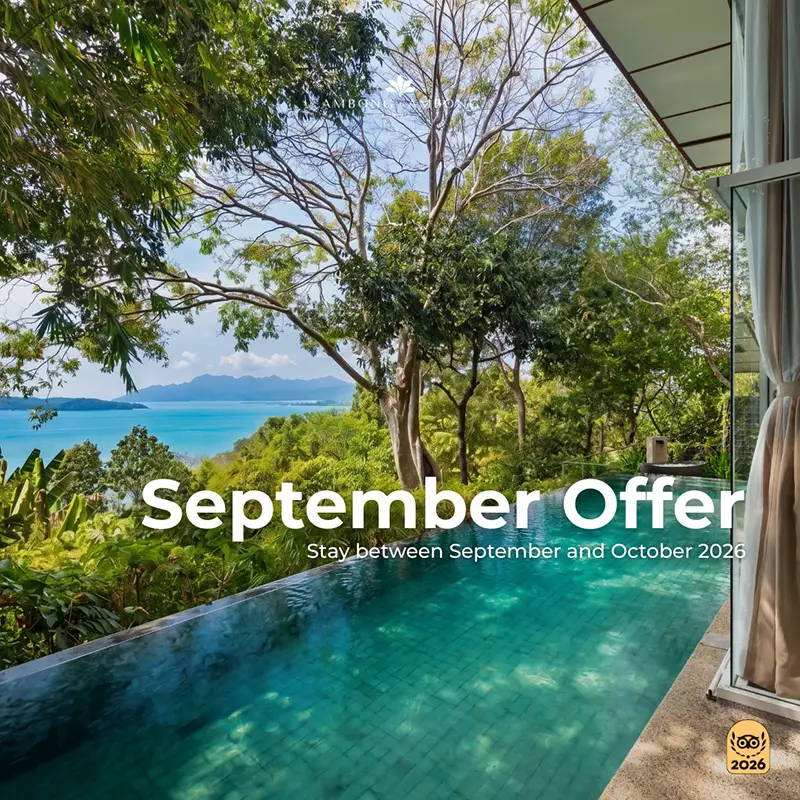 September Offer